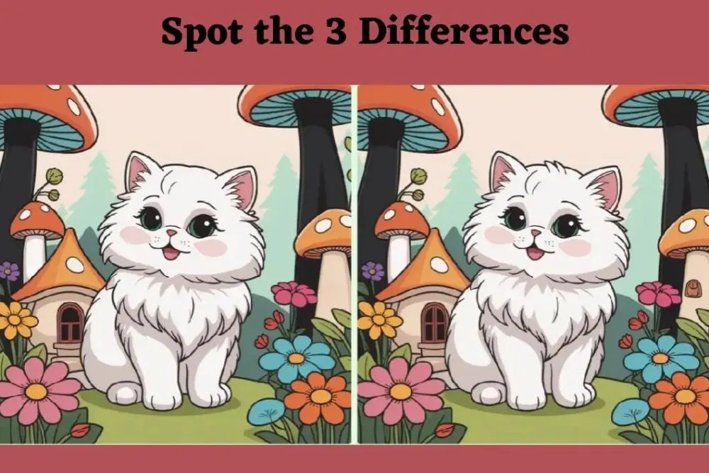 Tes IQ: Latih Fokus Mata dan Konsentrasi, Temukan 3 Perbedaan pada Gambar Kucing Lucu Ini, Bisa?