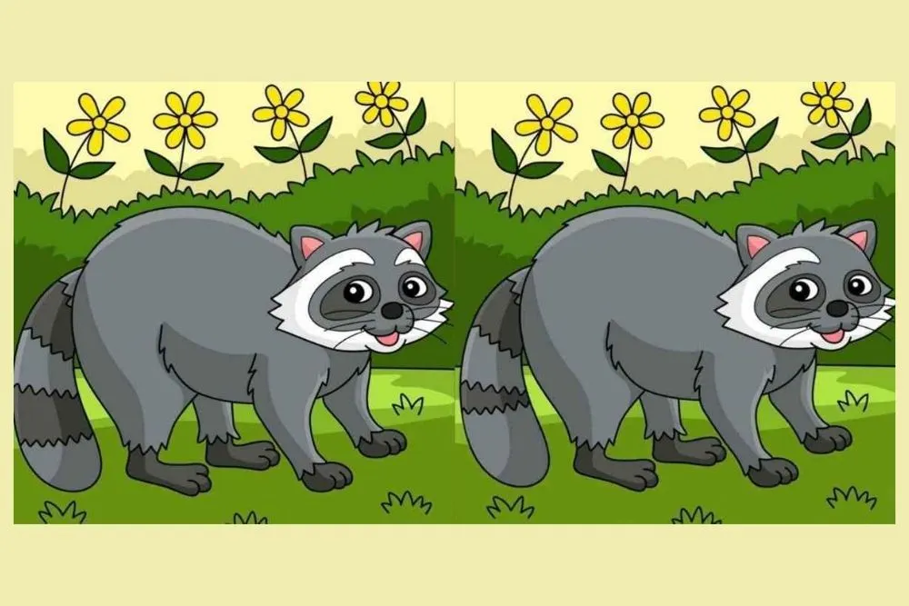 Tes IQ Hanya 14 Detik: Lihatlah dengan Teliti Ada 3 Perbedaan di Gambar Ini