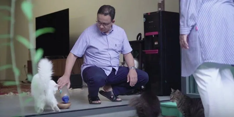 Capres di Pemilu 2024 Anies Baswedan Ternyata Sosok Penyayang Kucing, Punya Banyak Peliharaan (YouTube Anies Baswedan)