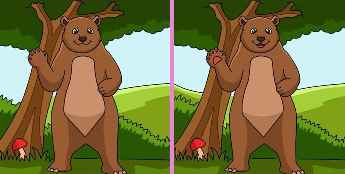 Tes IQ: Temukan 3 Perbedaan dalam Gambar Beruang Ini! Buktikan Kamu Si Paling Teliti 