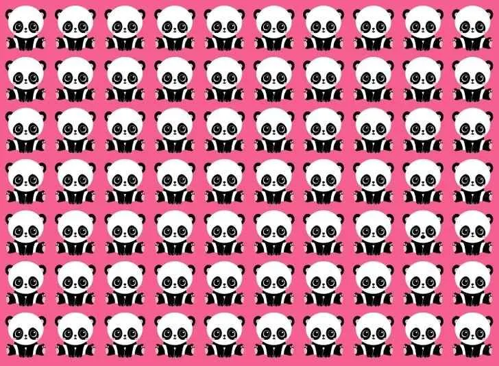 Tes Penglihatan: Ada Satu Panda yang Berbeda dalam Gambar Ini, Apakah Kamu Melihatnya? Coba Fokuskan Matamu (Jagran Josh)