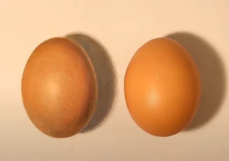 Tes IQ: Temukan yang Mana Telur Asli Dalam 3 Detik!