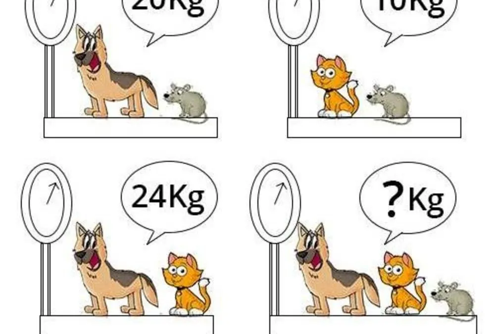 Tantangan tes IQ ini bisa menguji tingkat kejeniusan dengan tugas kamu harus menentukan berat semua hewan.