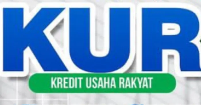 Jika 4 Poin Ini Sudah Terpenuhi Dipastikan Pinjaman KUR Calon Nasabah Akan Segera Cair