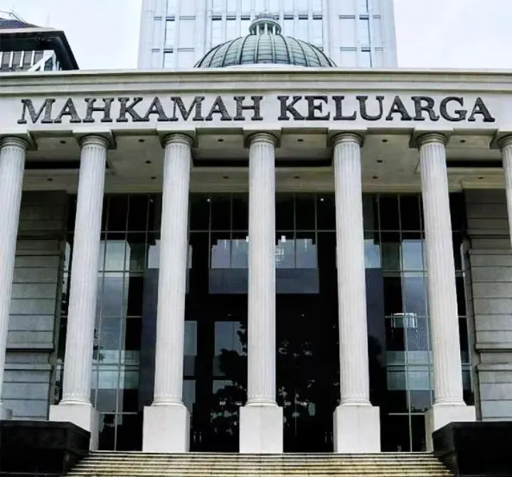 Selain Rocky Gerung, Kader PDIP Ini Sudah Tahu Putusan Mahkamah Konstitusi soal Batas Usia Capres