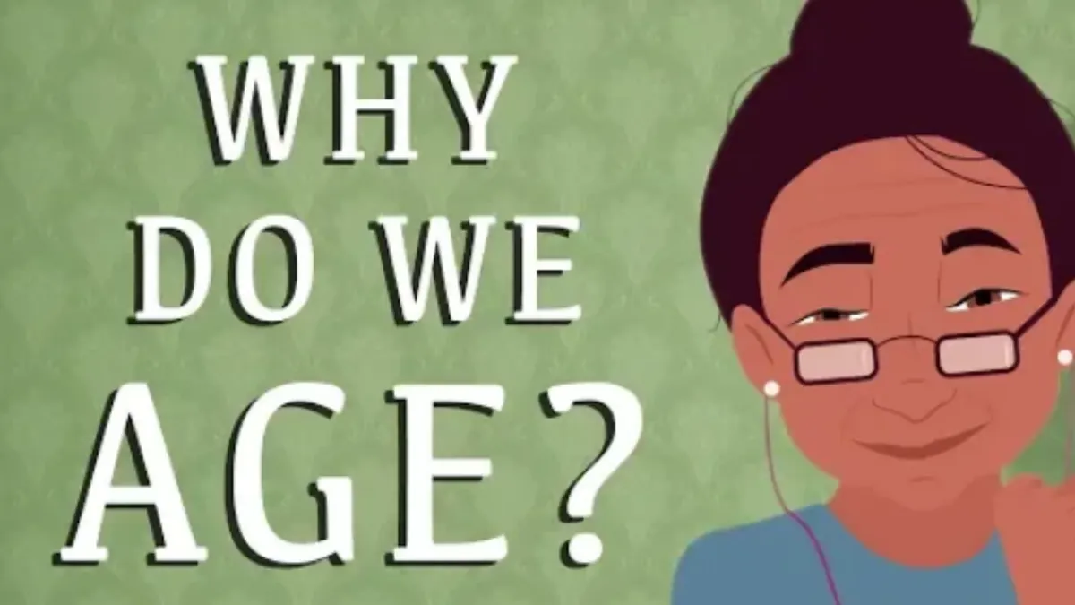 Nggak Nyangka! Inilah Tips Awet Muda Super Murah,Tidak Perlu Resep Serta Dijamin Bebas Pajak, Berani Coba? (YouTube TED-Ed)