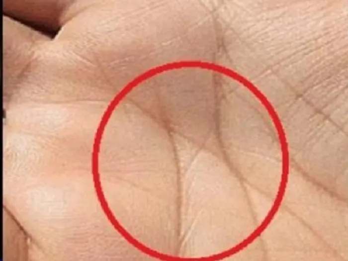 Kepribadian Orang yang Memiliki Garis X di Telapak Tangannya, Disebut-sebut Bukan Orang Biasa