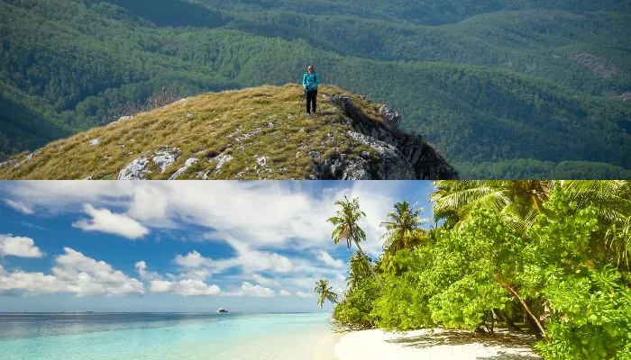 Illustrasi Pantai dan Gunung