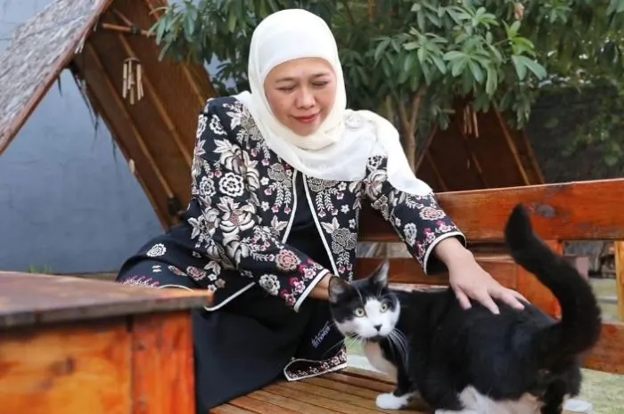 Gubernur Jawa Timur, Khofifah Indar Parawansa disebut adalah sosok yang akan mendampingi Ganjar Pranowo di Pilpres 2024.