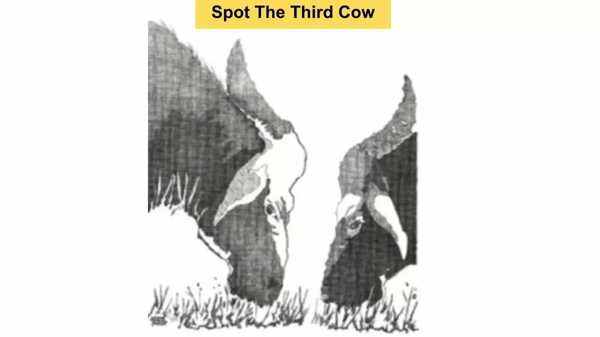 Test Ilusi Optik: Temukan Sapi ke Tiga yang Ada Dalam Gambar