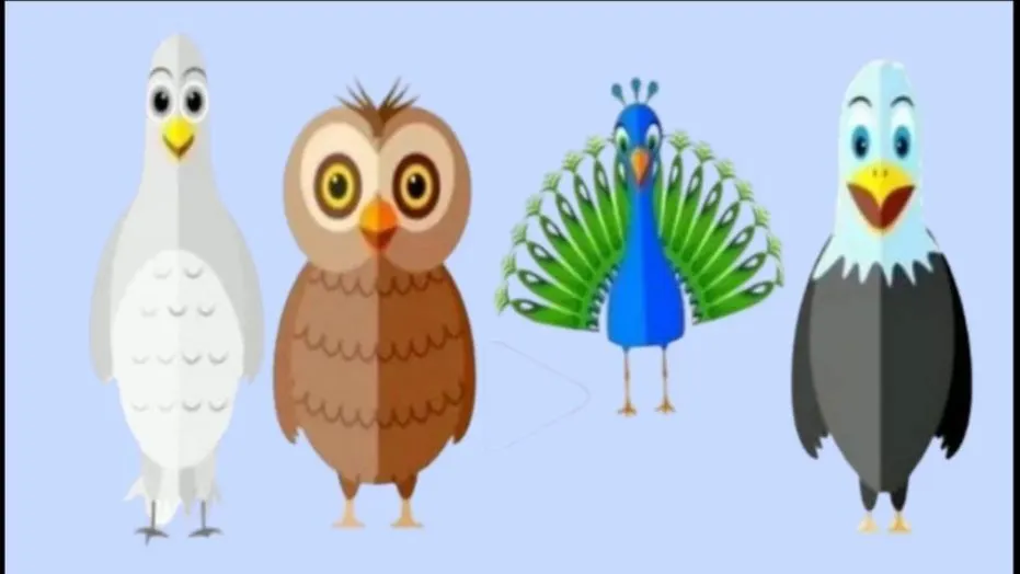 Pilih gambar burung.