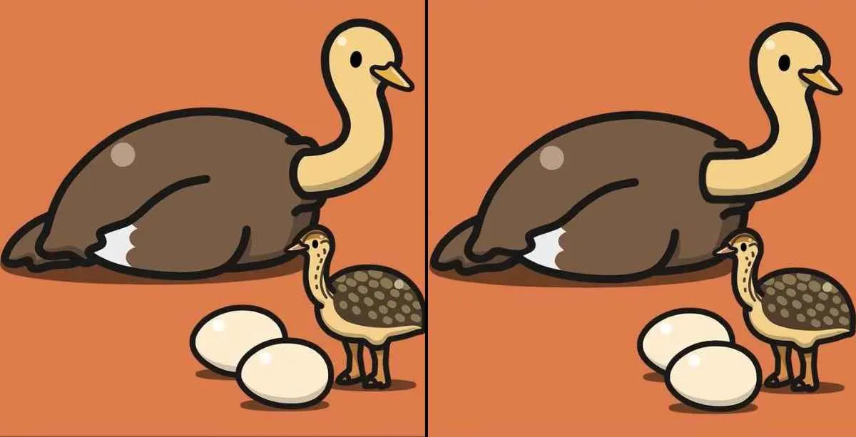Tes Penglihatan: Coba Temukan 3 Perbedaan Pada Gambar Burung Unta
