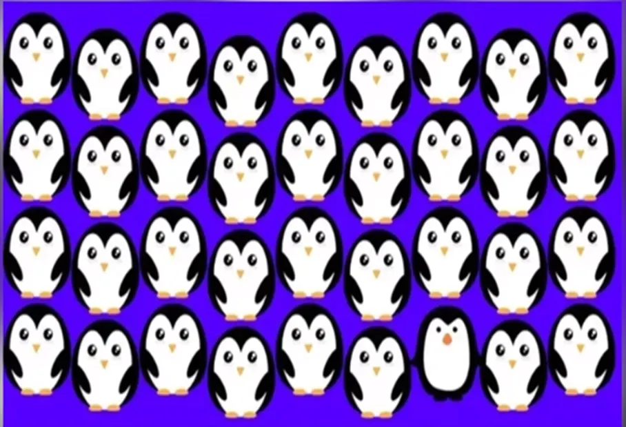 Tes IQ: Temukan Seekor Penguin yang Berbeda di antara Lainnya dalam Waktu 5 Detik!