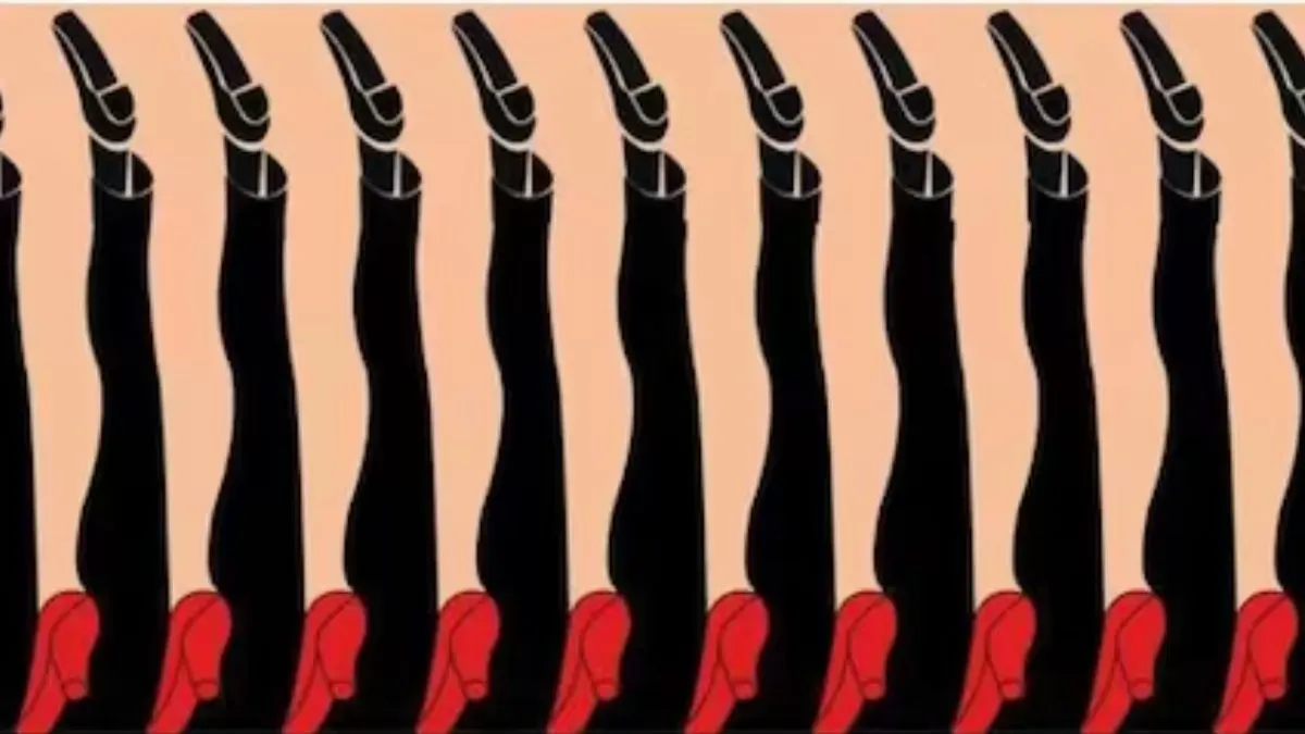 Tes Gambar Ilusi Optik: Lihat Kaki Pria atau Kaki Wanita? Ketahui Karier yang Cocok dan Gaya Komunikasi yang Dimiliki
