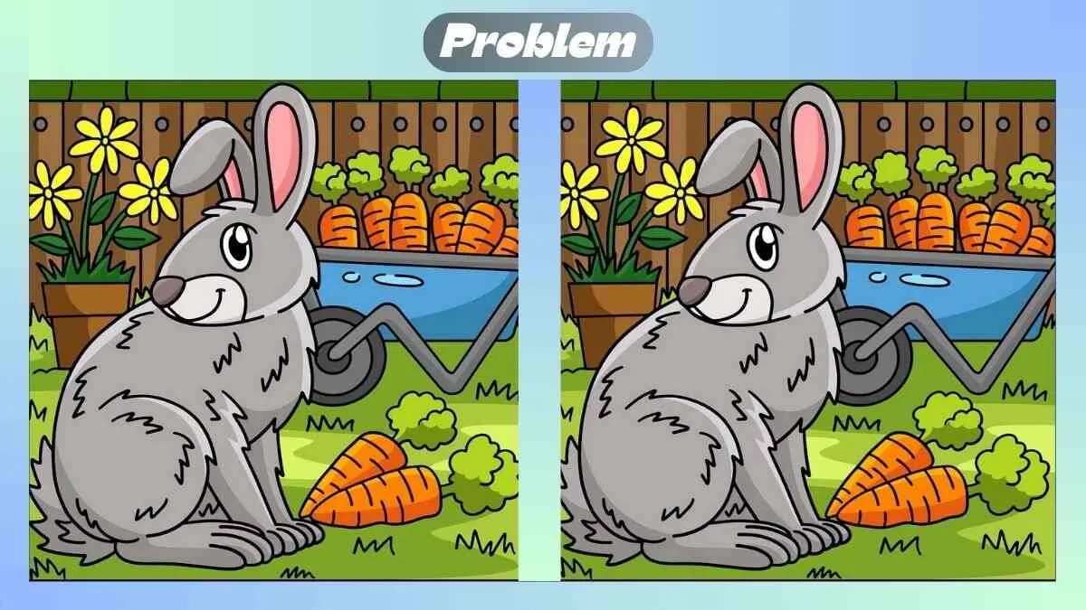 Dalam tes penglihatan ini kamu akan diminta untuk menemukan 3 perbedaan yang terdapat pada gambar kelinci.