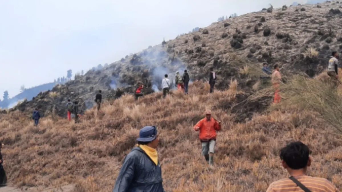 Selain melakukan tindakan terhadap tempat wisata Gunung Bromo, pihak Balai Besar TNBTS juga telah menutup Kawasan taman nasional secara total sejak dua hari yang lalu, pada tanggal 10 September 2023, pukul 19.00 WIB.