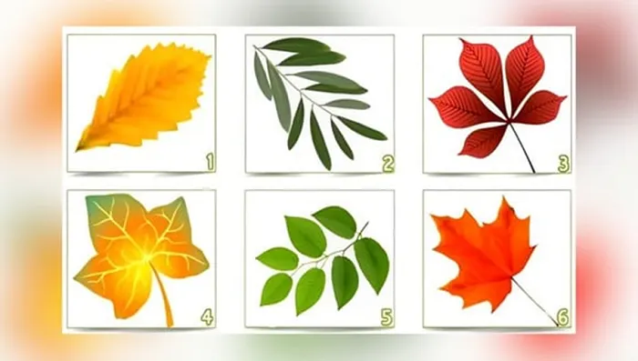Tes Kepribadian Pilih Satu Gambar Daun Ungkap Pandangan Orang