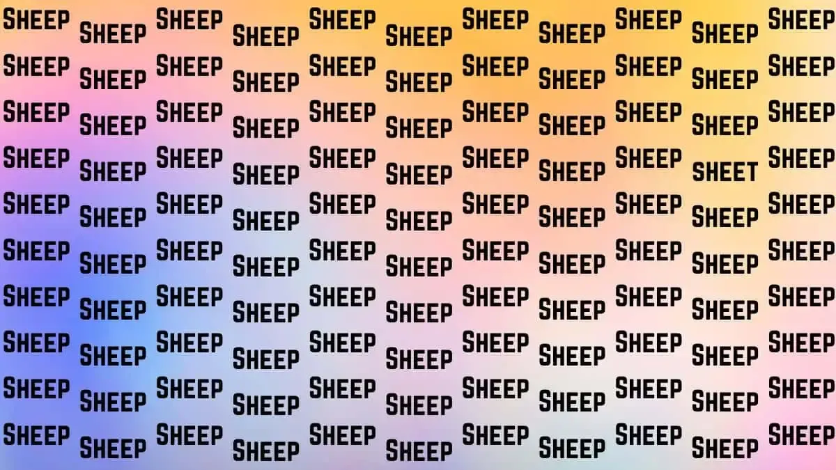Tes Penglihatan: Coba Temukan Kata Sheet Di Antara Kata Sheep
