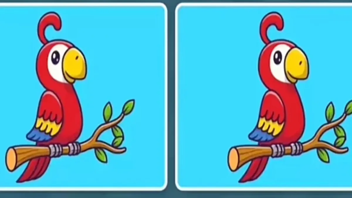 Tes IQ: Temukan 3 Perbedaan Pada Gambar Burung Gemas Ini!