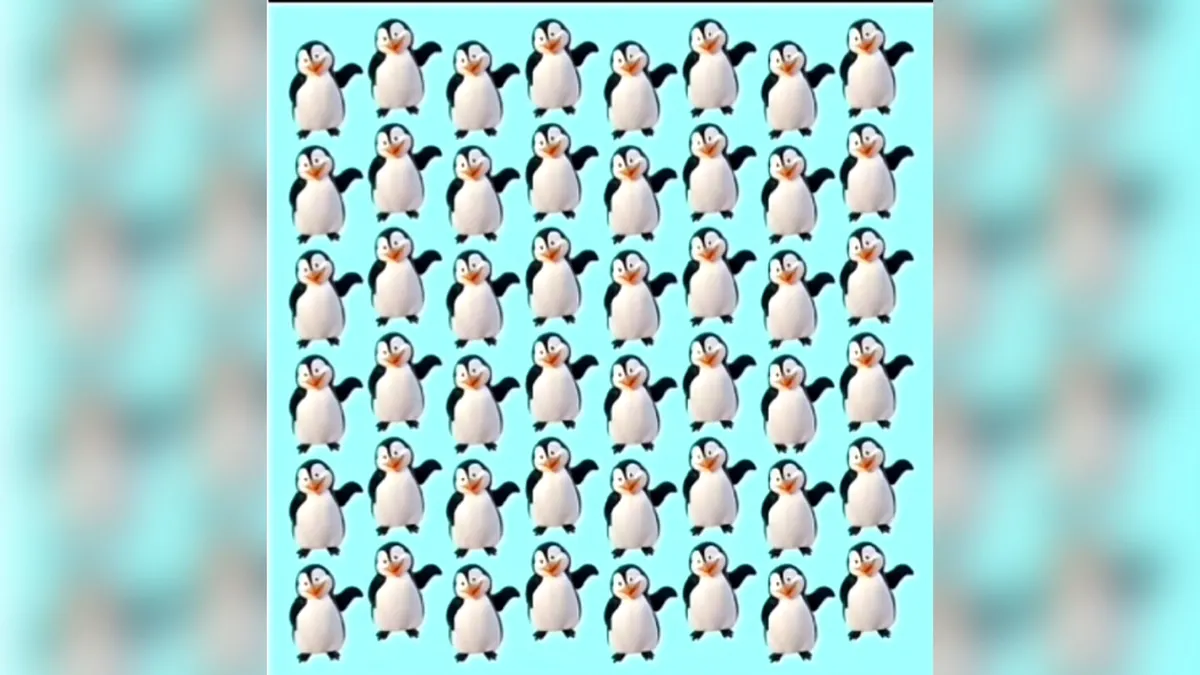 Tes Penglihatan: Mata Lelah dan Konsentrasi Menurun? Coba Temukan Penguin Paling Berbeda di Gambar Ini
