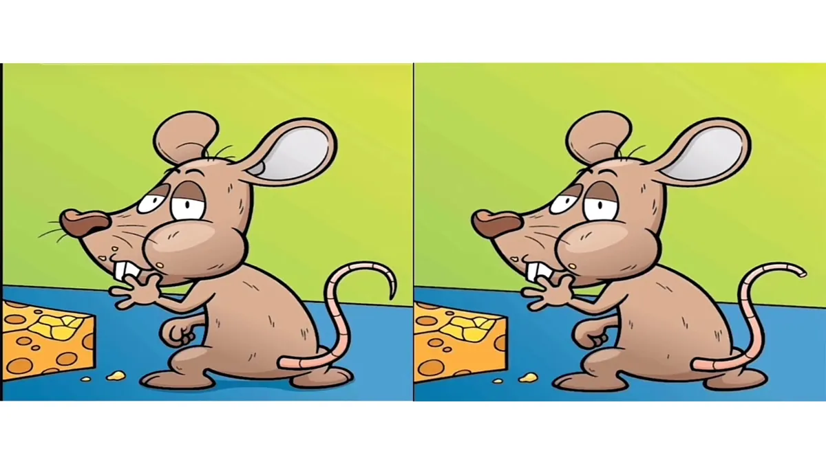 Tes IQ: Latih Kemampuan Fokus dan Konsentrasi, Temukan 9 Perbedaan di Gambar Tikus dalam Waktu 20 Detik!