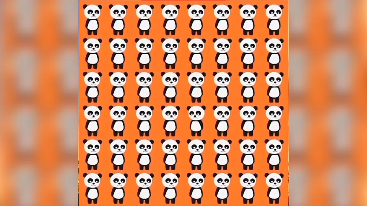 Tes Penglihatan: Temukan 1 Panda yang Menoleh ke Arah Kiri, Susah Banget Lho, Kamu Bisa?