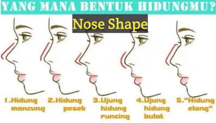 Fakta Karakter Manusia yang Terlihat dari Bentuk Hidung, Dipercaya Menyimpan Rahasia Pribadi Tidak Terduga