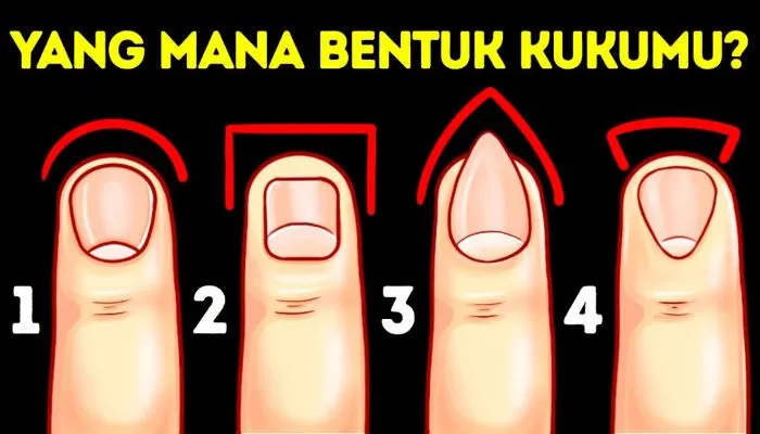 Ilustrasi tes kepribadian bentuk kuku