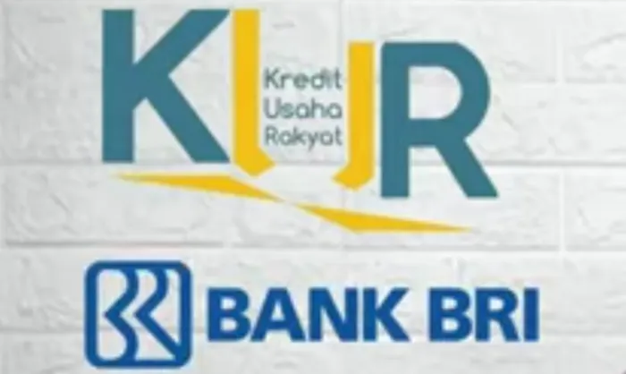 Inilah Aturan Terbaru KUR BRI, Ada Peluang Besar bagi Calon Nasabah Baru yang Ingin Usahanya Maju