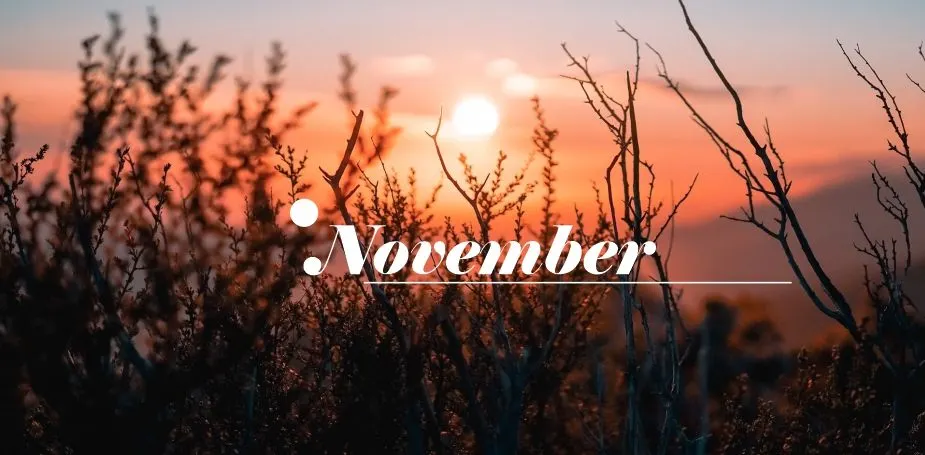 Ilustrasi November 2023
