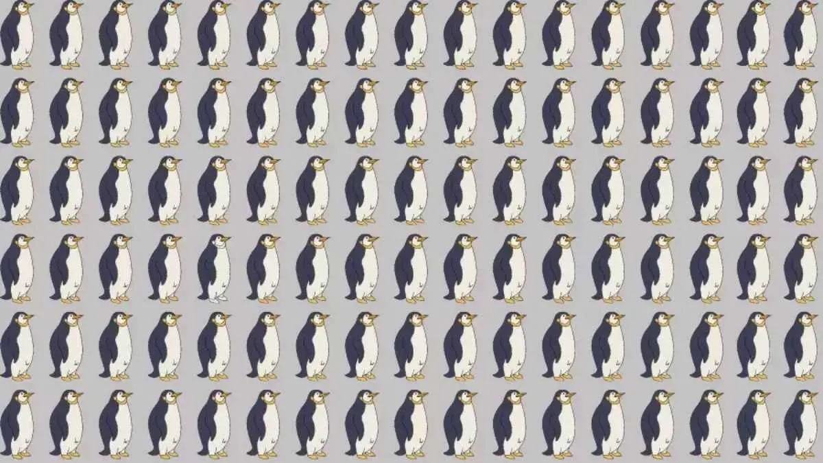 Tes Penglihatan: Temukan Penguin yang Berbeda dalam 11 Detik