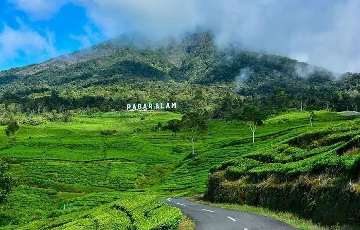 Kebun Teh Pagaralam | Apakah kamu penasaran kota apa saja yang masuk dalam kategori kota tersepi di Indonesia? Simak artikel ini untuk mencari tahu jawabannya.