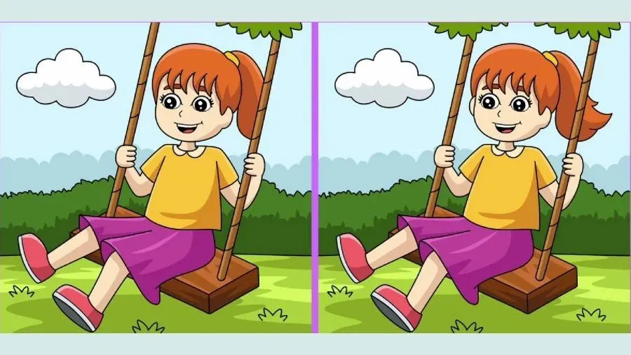 Tes IQ: Kerahkan Kemampuan Detektifmu, Temukan 3 Perbedaan pada Anak Perempuan Bermain Ayunan Ini, Ketemu?