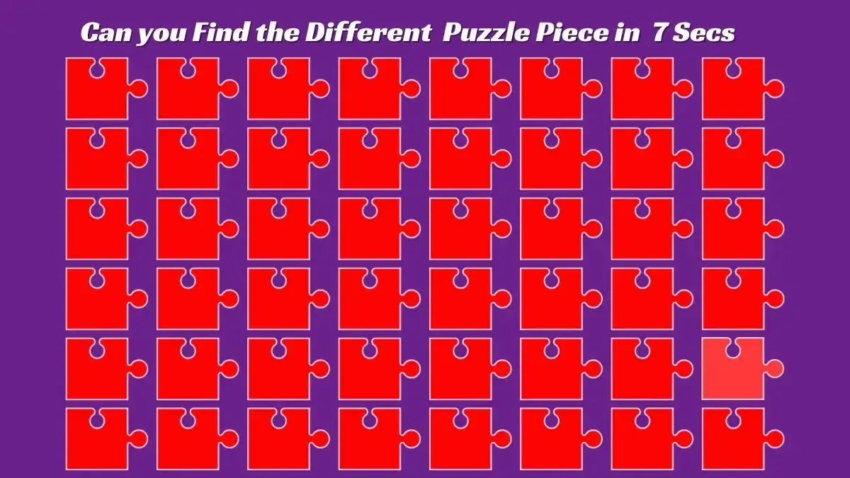 Tes Penglihatan: Asah Kemampuan Observasi Kamu, Coba Temukan Satu Puzzle yang Berbeda