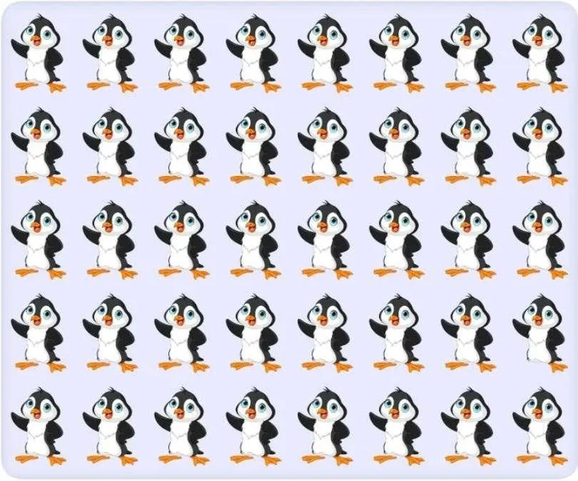 Tes Penglihatan: Latih Ketajaman Visual, Coba Temukan 1 Pinguin yang Berbeda dari Gambar Ini, Mana Ya? (Jagran Josh)