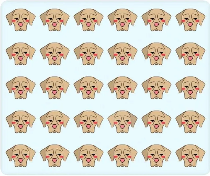 Tes Penglihatan: Ada Satu Anjing Berbeda dalam Gambar, Bisakah Kamu Menemukannya? Uji Keterampilan Observasi