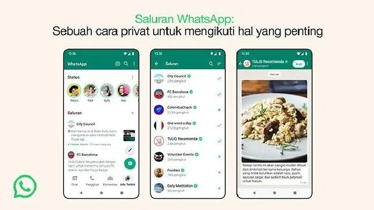Ilustrasi Fitur Saluran Whatsapp