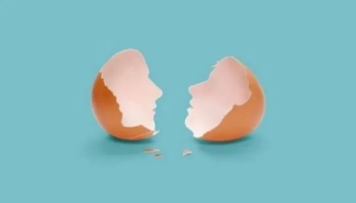 Ilustrasi Cangkang Telur