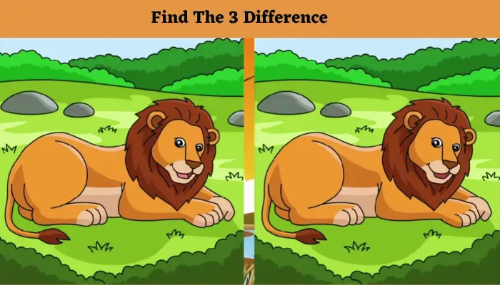 Tes IQ: Temukan 3 Perbedaan pada Gambar Singa Jantan Ini