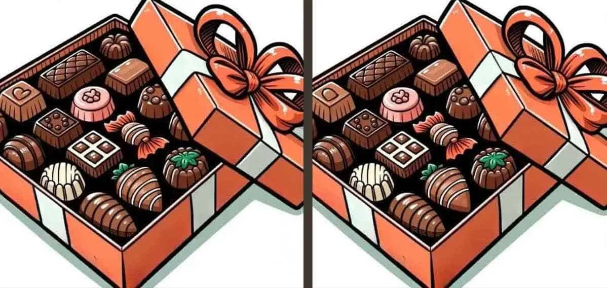 Tes Ilusi Optik: Temukan 3 Perbedaan pada Gambar Kotak Cokelat, Orang yang Teliti Hanya Butuh Waktu 10 Detik