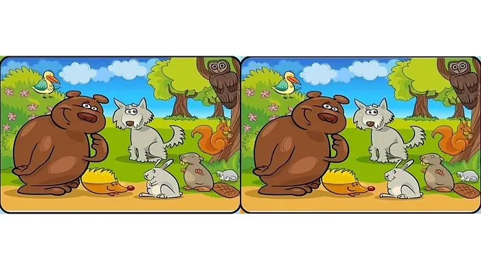 Tes Ilusi Optik: Kurang Fokus dan Konsentrasi? Atasi dengan Menemukan 5 Perbedaan di Gambar Kumpulan Hewan Lucu Ini