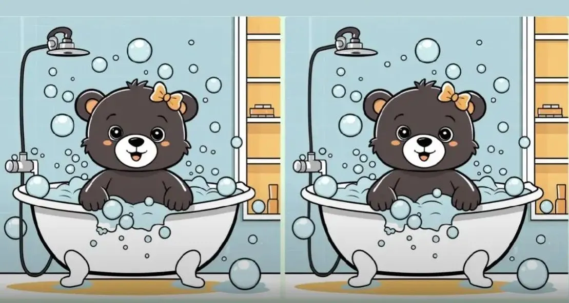 Mari mulai perhatikan dengan teliti kedua gambar beruang berwarna hitam ini, dan temukan 3 perbedaan yang ada dengan cepat dan tepat!