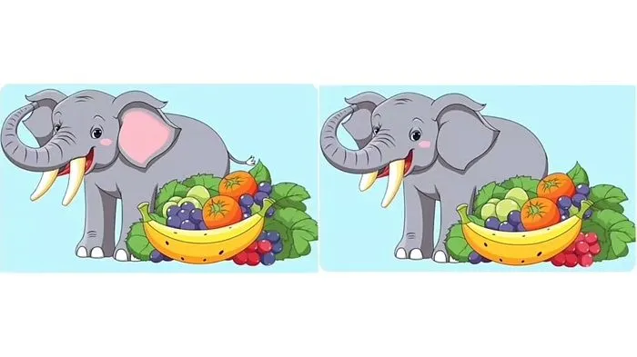 Tes Penglihatan: Seberapa Fokus dan Teliti Kamu? Coba Temukan 5 Perbedaan di Gambar Gajah Lucu Ini