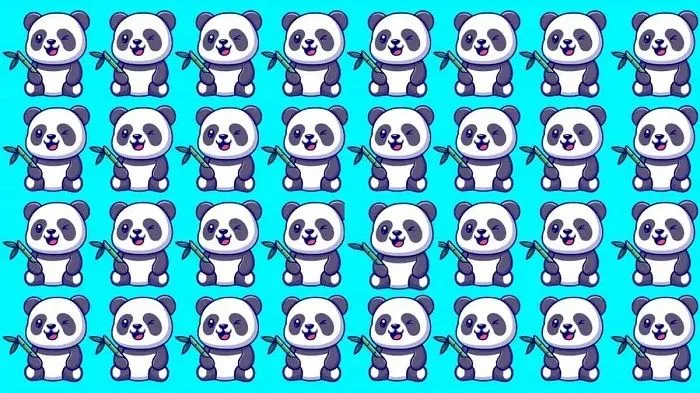 Tes Penglihatan: Emang Boleh Sesulit Ini? Latih Fokus Mata Kamu, Temukan 1 Gambar Panda yang Paling Berbeda!