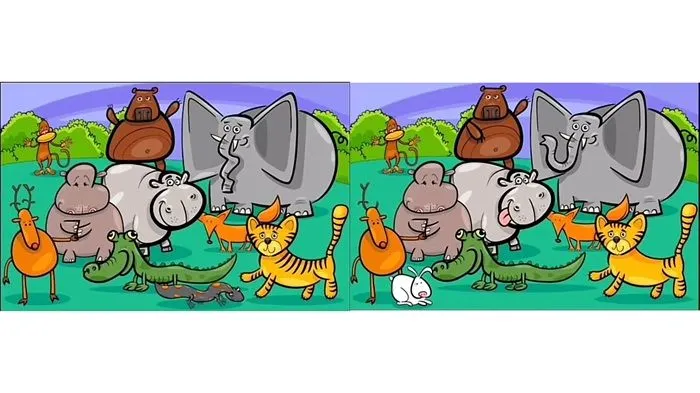 Tes Penglihatan: Biar Gak Pikun Dini, Temukan 7 Perbedaan di Gambar Kumpulan Hewan dalam 10 Detik!