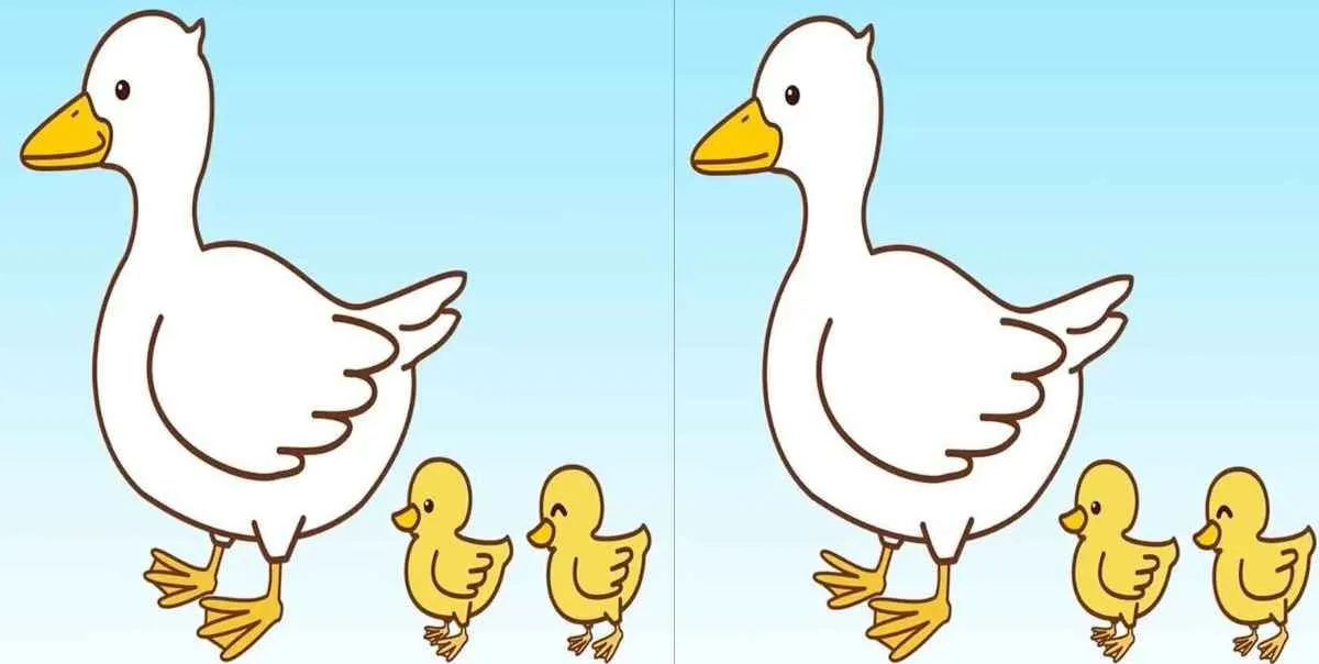 Pada tes penglihatan kali ini kamu ditantang untuk menemukan tiga perbedaan di gambar bebek dan anak itik dalam 12 detik.