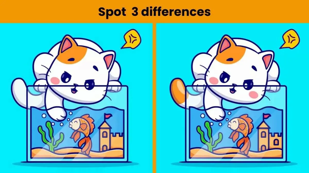 Tes IQ: Temukan 3 Perbedaan Gambar Kucing dalam Waktu 10 Detik!