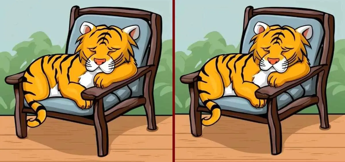 Tes IQ: Cari 3 Perbedaan pada Kedua Gambar Harimau yang Tidur di Kursi Ini, Yuk Uji Kemampuan Observasimu! (Jagran Josh)