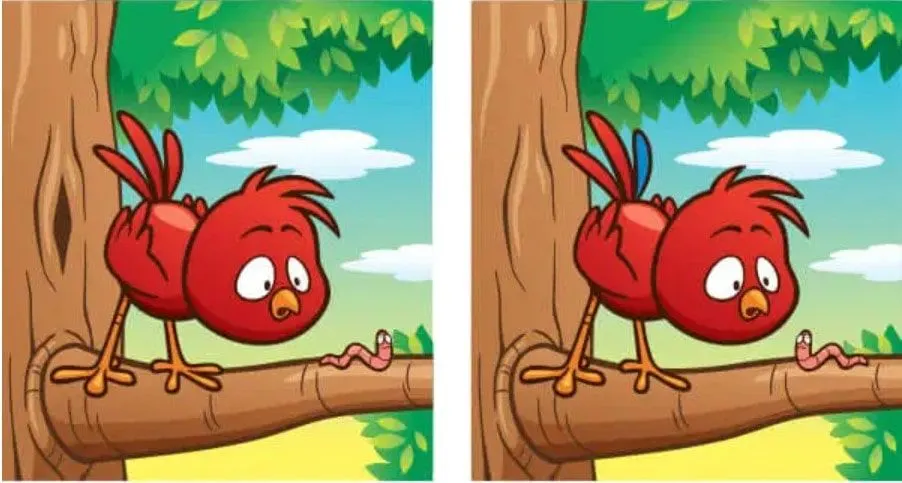 Tes IQ: Asah Observasi Kamu, Temukan 5 Perbedaan dari Anak Burung Ini (Jagran Josh)