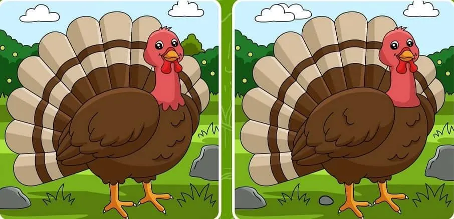 Tes IQ: Temukan 5 Perbedaan dari Gambar Kalkun Ini, Kemampuan Observasi Masih Baik? 